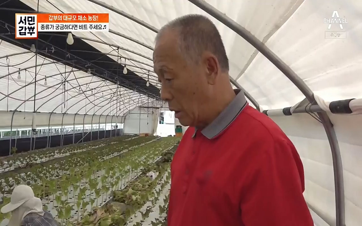 서민 갑부.E389.220626p-NEXT.mp4_20220626_182536.182.jpg