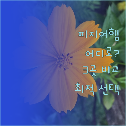 피지 코로토고 완벽 분석! 베다라 비
