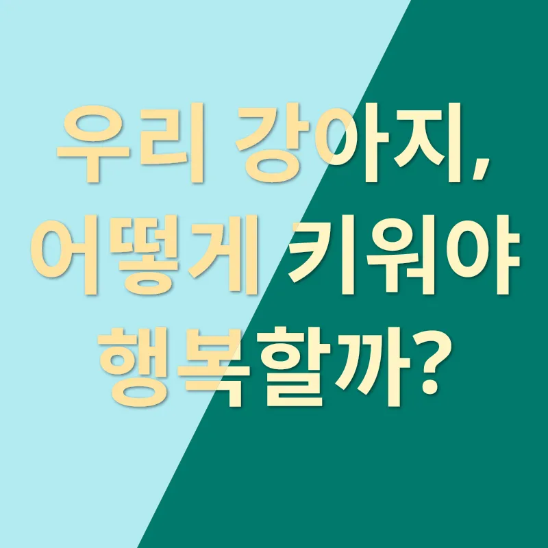 반려견 입양_3