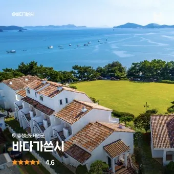 전국 애견동반 펜션 추천 목록 10곳 반려견 동행 휴식 여행_2