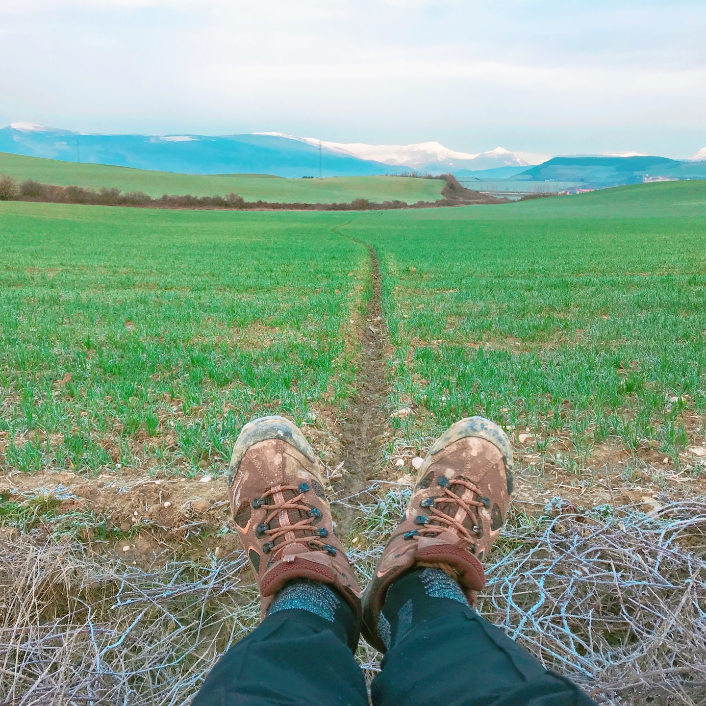  [Overseas Travel]Camino de Santiago Travel journal(Day 5)_산티아고 순례길(팜플로나~레이나)