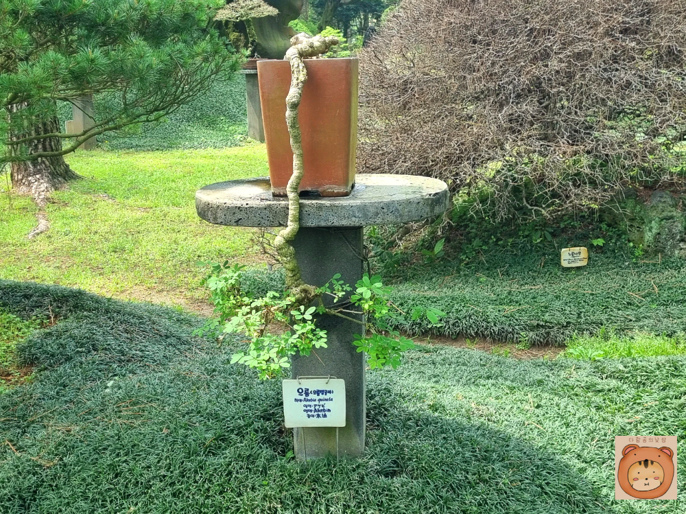 한림공원