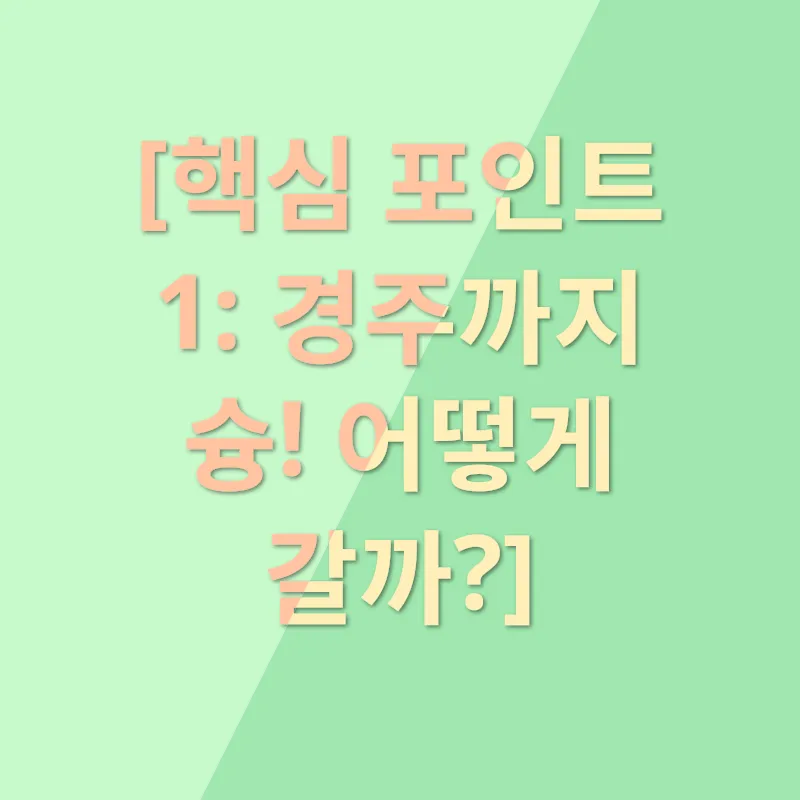 공항버스 이용_2
