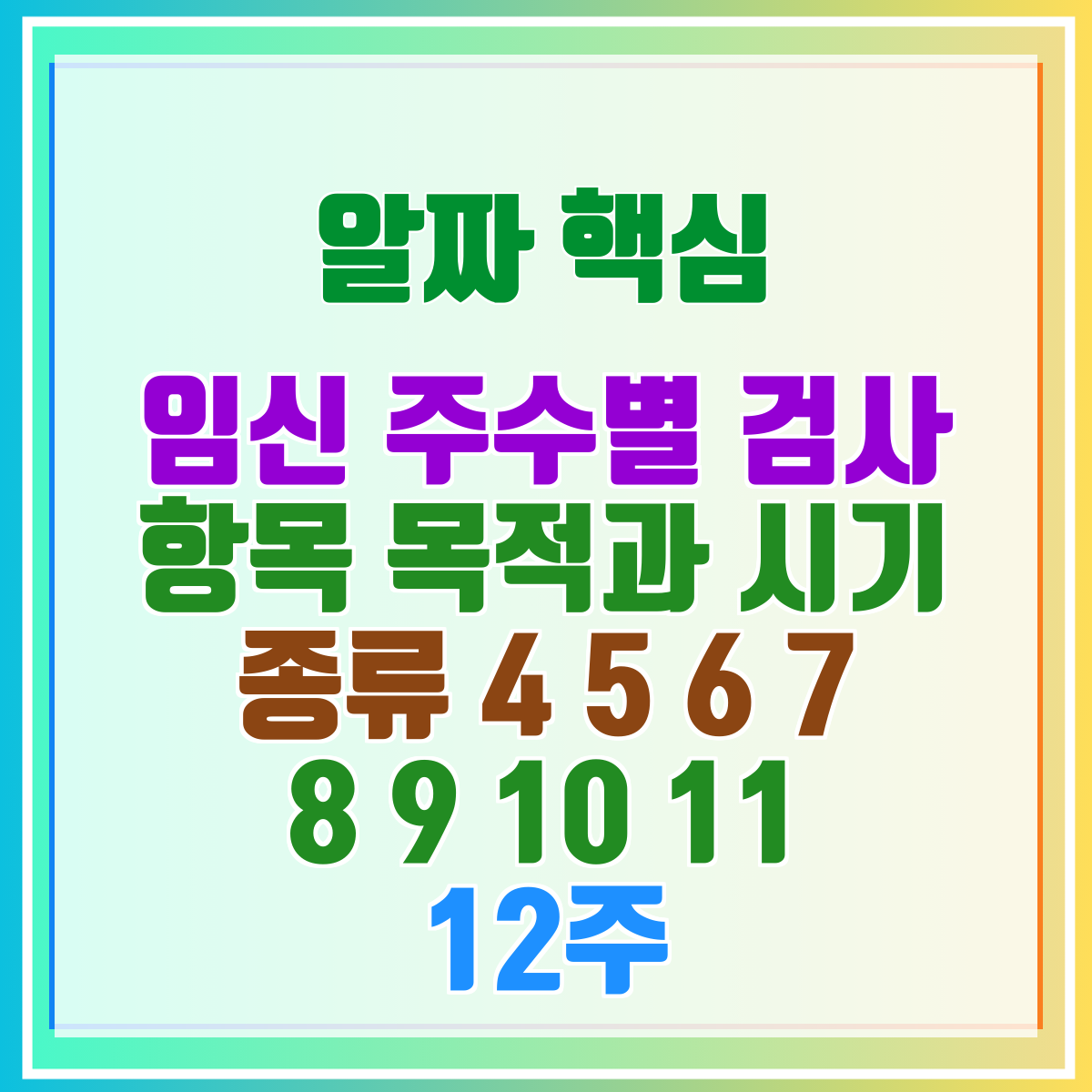 임신 주수별 검사 항목 목적과 시기 종류 4 5 6 7 8 9 10 11 12주