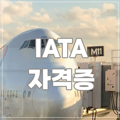 IATA-1