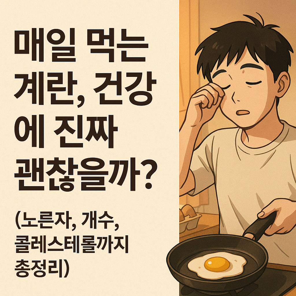 계란 몇개까지 괜찮을까?