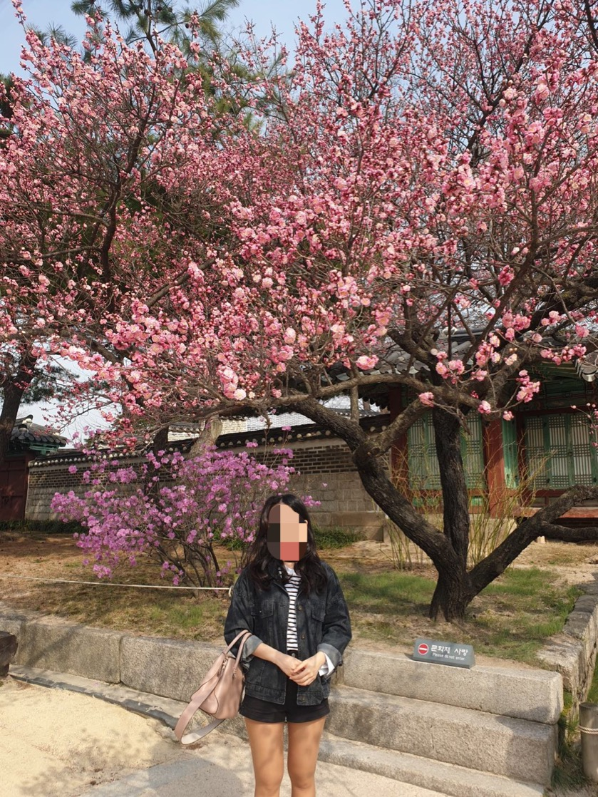 서울 꽃 구경