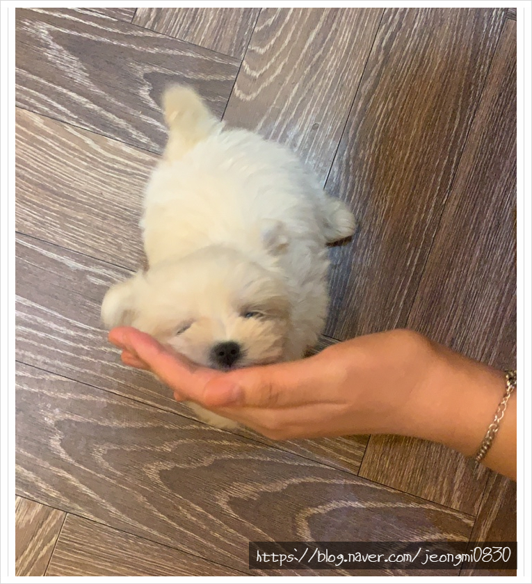 디저트 탑 이미지