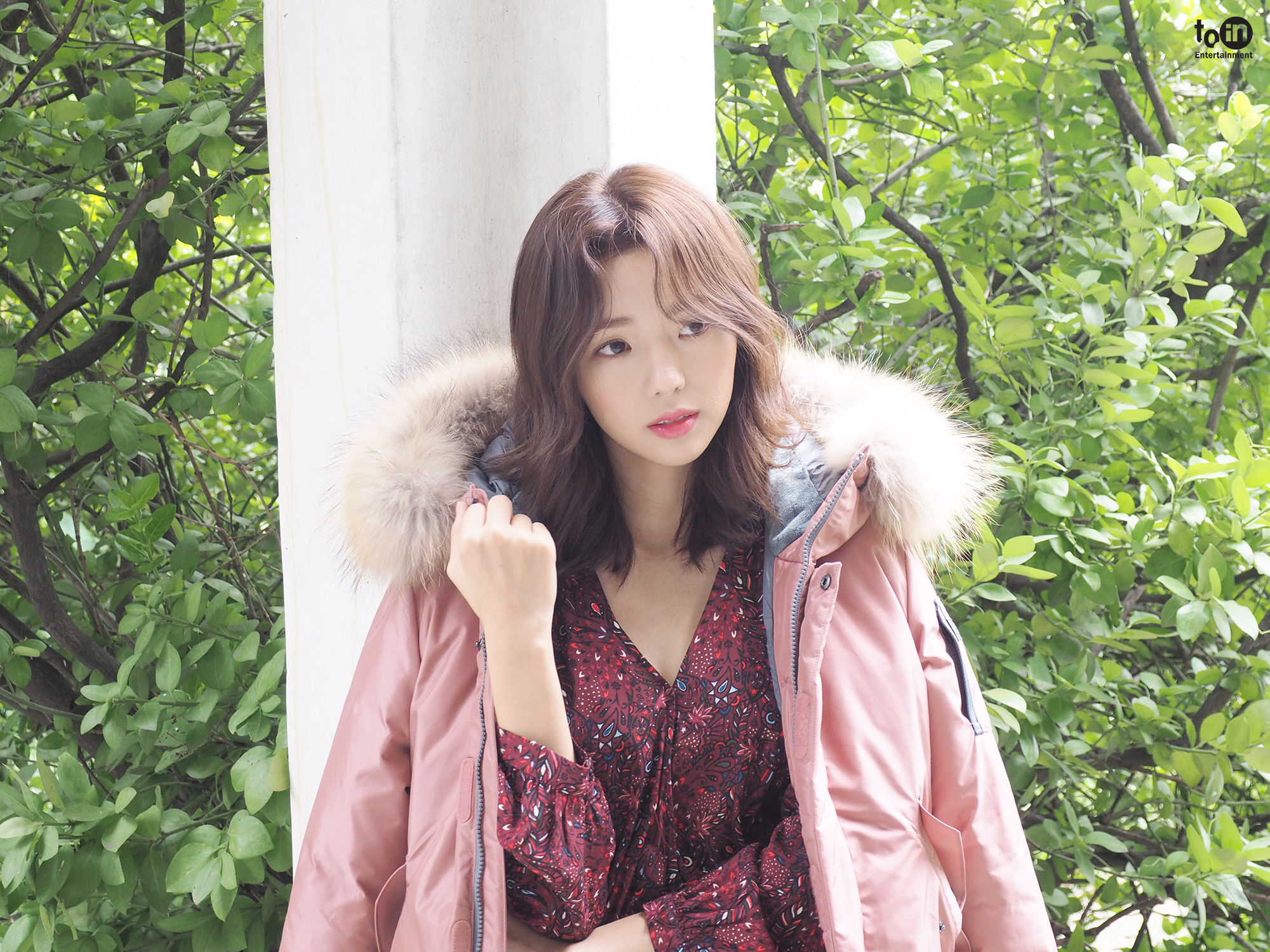 예쁜여우 이미지