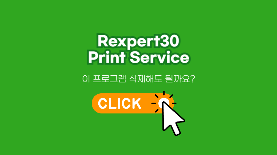 Rexpert30 Print Service의 정체와 삭제하는 방법안내