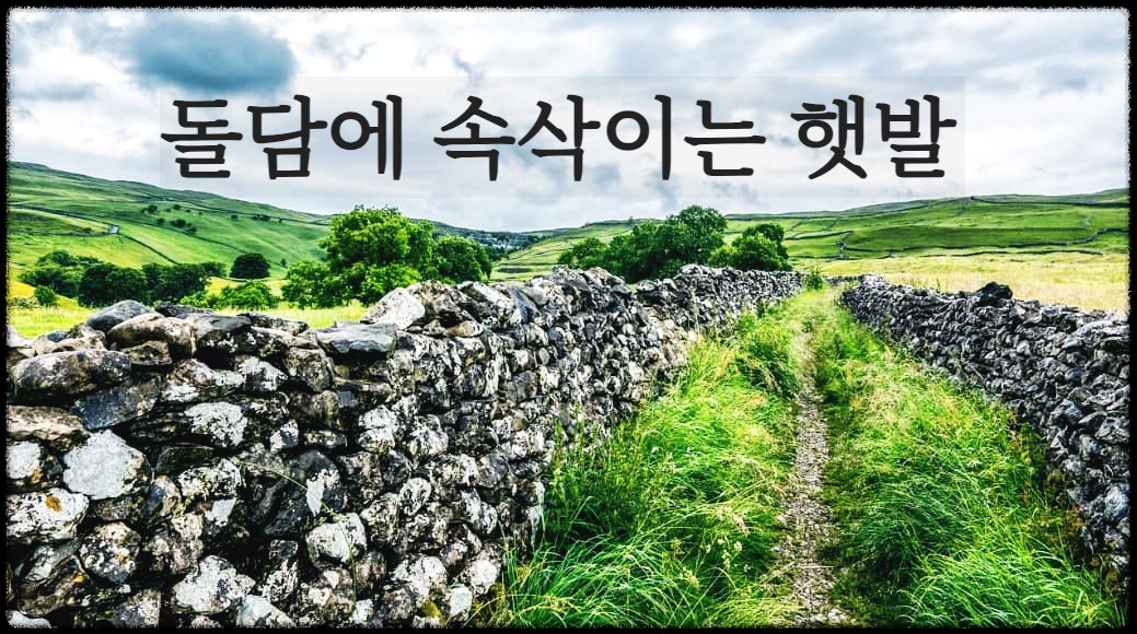  [시 감상]김영랑 - 돌담에 속삭이는 햇발