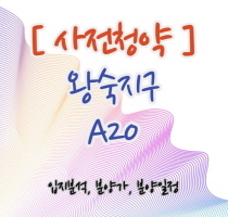  [남양주왕숙] 왕숙지구 사전청약 A20블록 신혼희망타운(GTX-B노선)