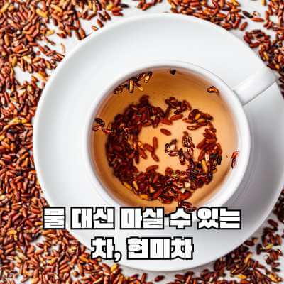 물 대신 마실 수 있는 차 현미차