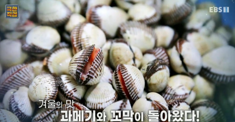  극한직업 꼬막 택배 주문 업체