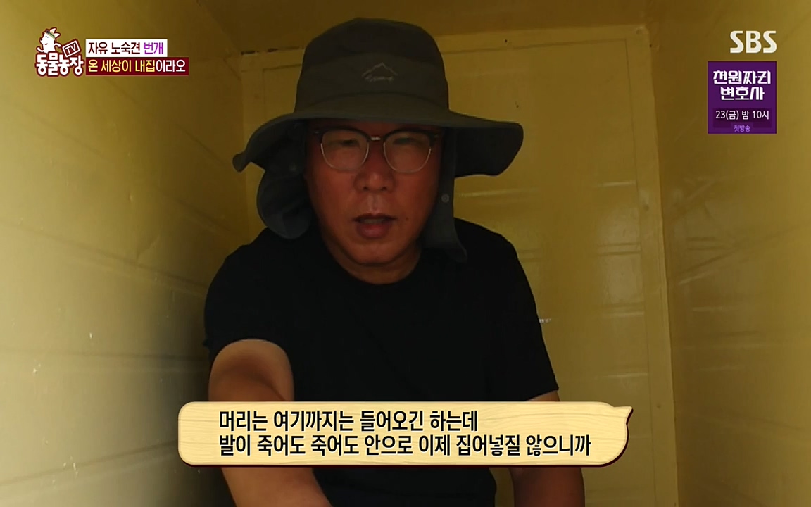 TV 동물농장.E1087.220919p-NEXT.mp4_20220918_180224.053.jpg