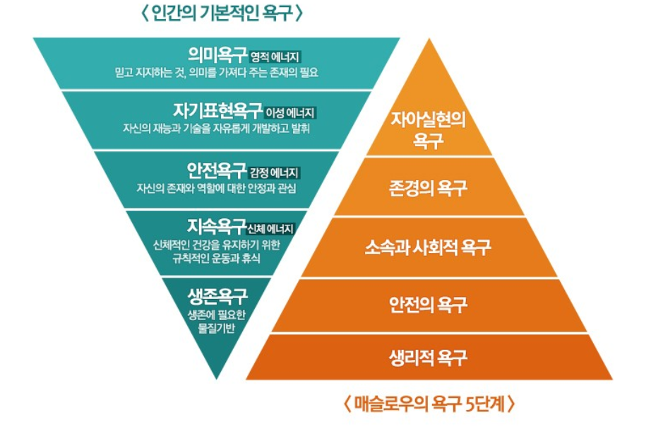  매슬로우의 욕구 5단계