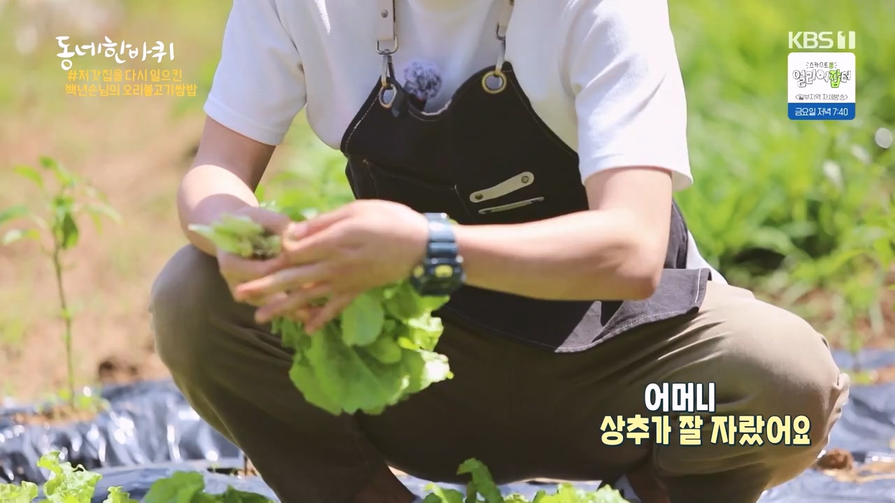 동네 한 바퀴.E273.240512p-NEXT.mp4_20240512_170029.925.jpg