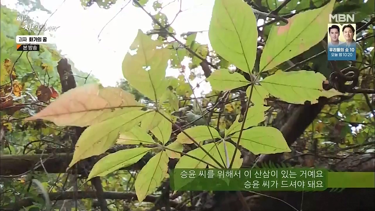 나는 자연인이다.E524.221019.H265p-BULDU.mp4_20221020_174031.601.jpg