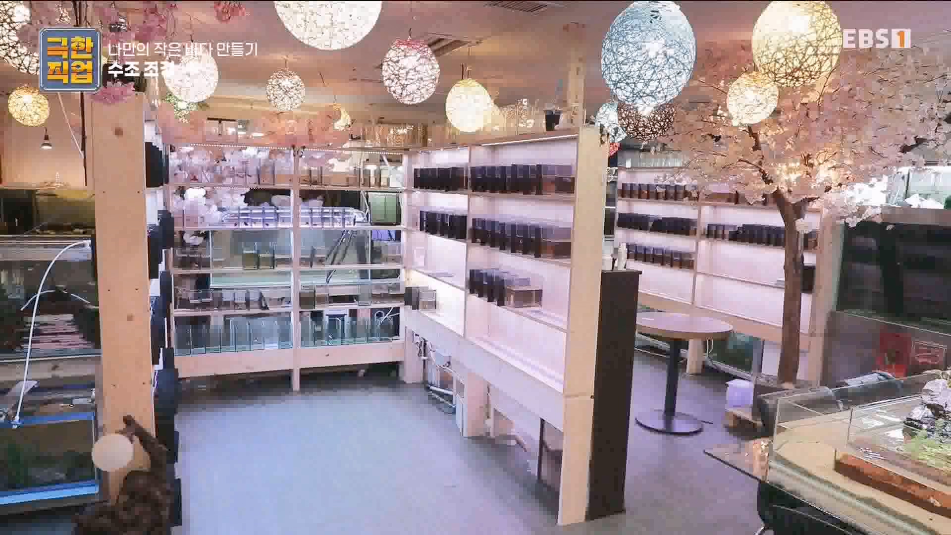 [극한 직업] 수조 조경.mp4_20230822_204219.448.jpg