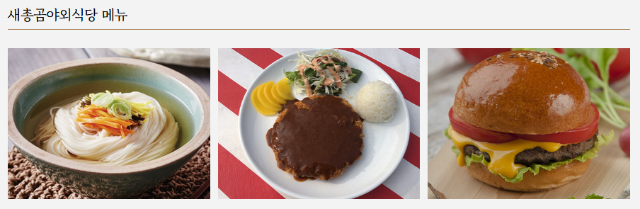 세종베어트리파크 식당 안내 (레스토랑, 카페, 라운지, 푸드코드)