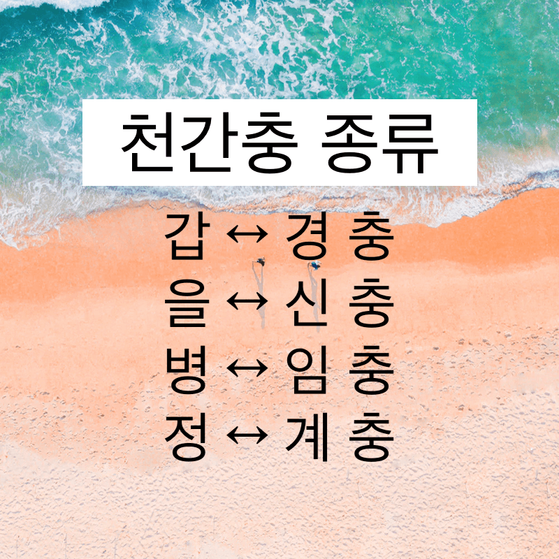 천간충-종류