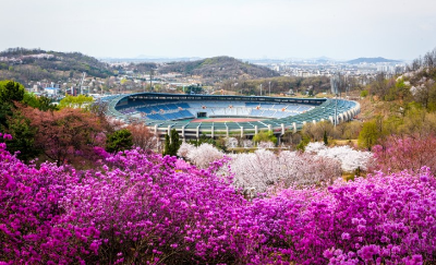 부천 원미산 진달래원