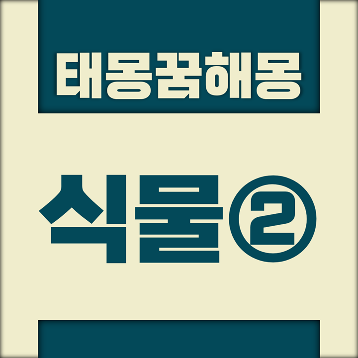 [꿈해몽풀이] 식물② 태몽 (사과, 산삼, 석류, 수박, 수풀, 씨앗 등)