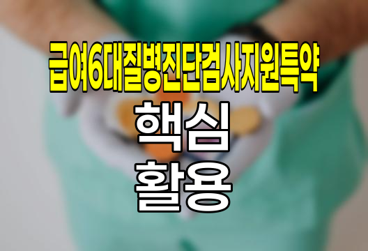 신한생명 급여6대질병진단검사지원특약의 핵심과 활용법