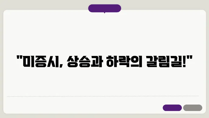 미 증시의 상반기 변화