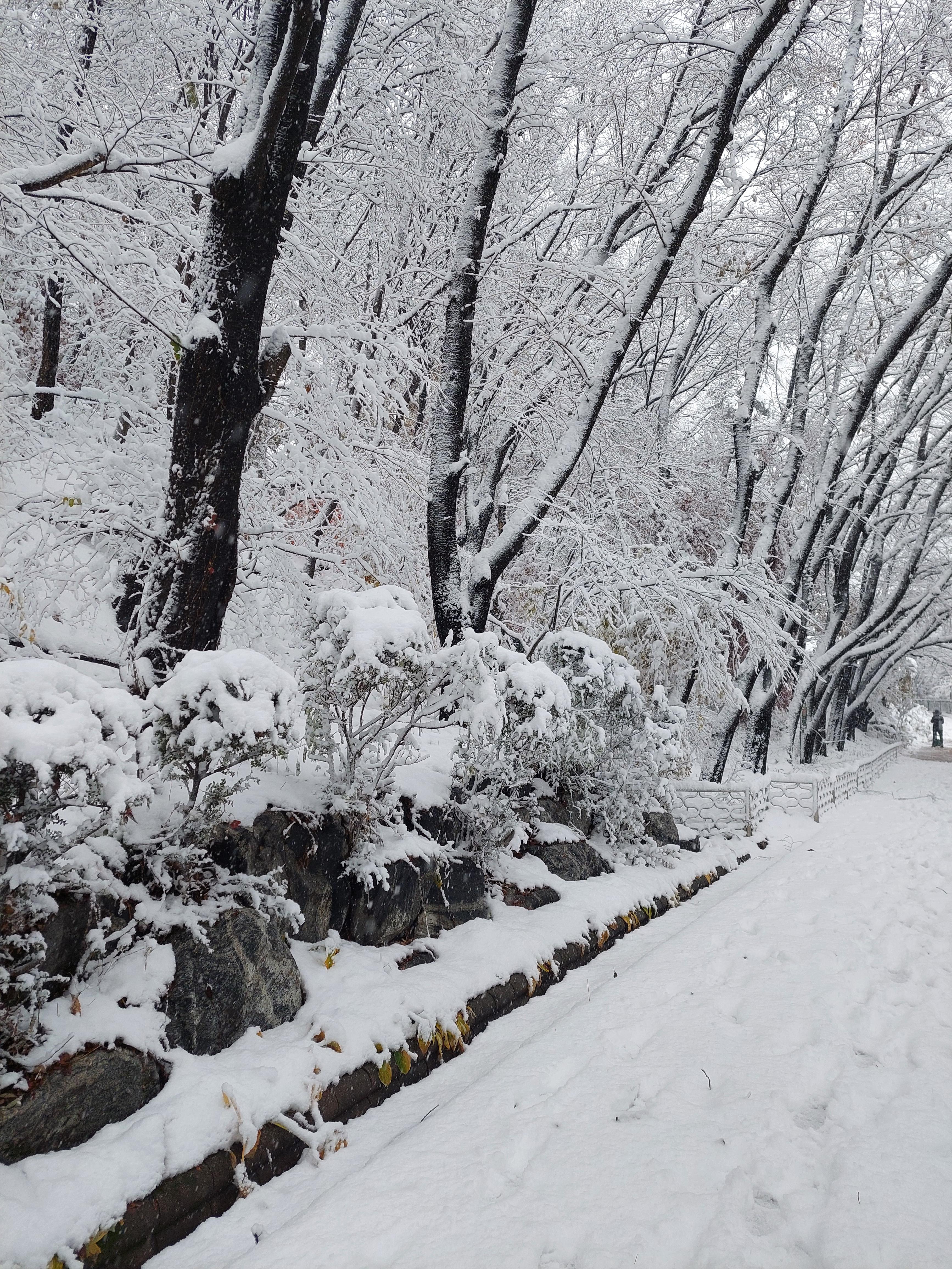 백련산안산