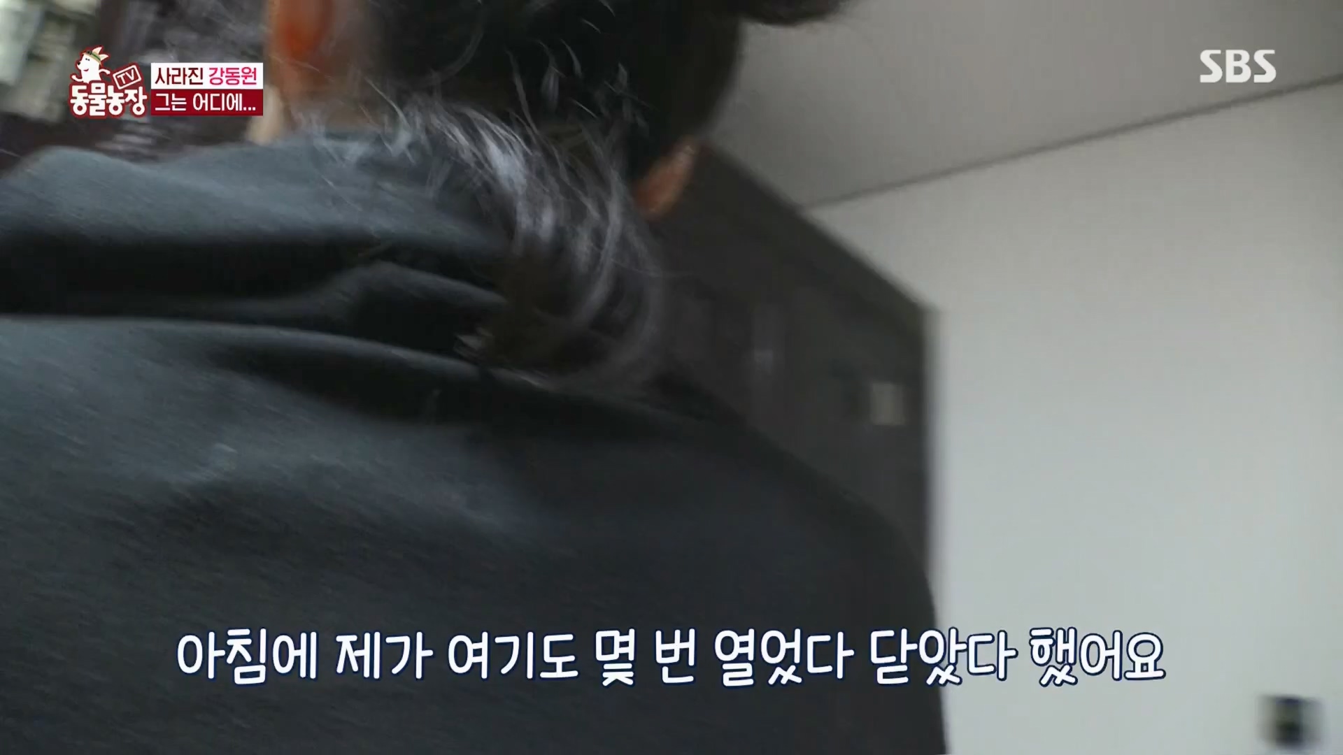 TV 동물농장.E1148.231203p.H264-F1RST.mp4_20231203_165834.956.jpg