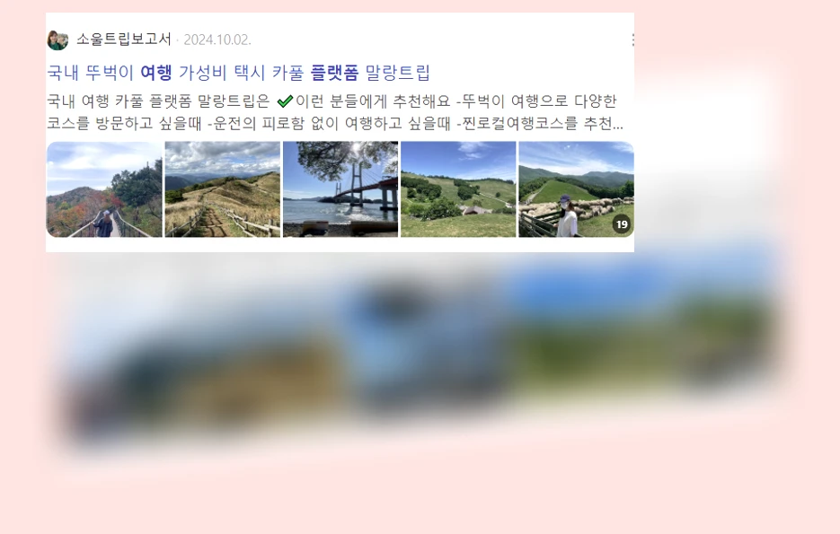 여행 플랫폼_3_subsection