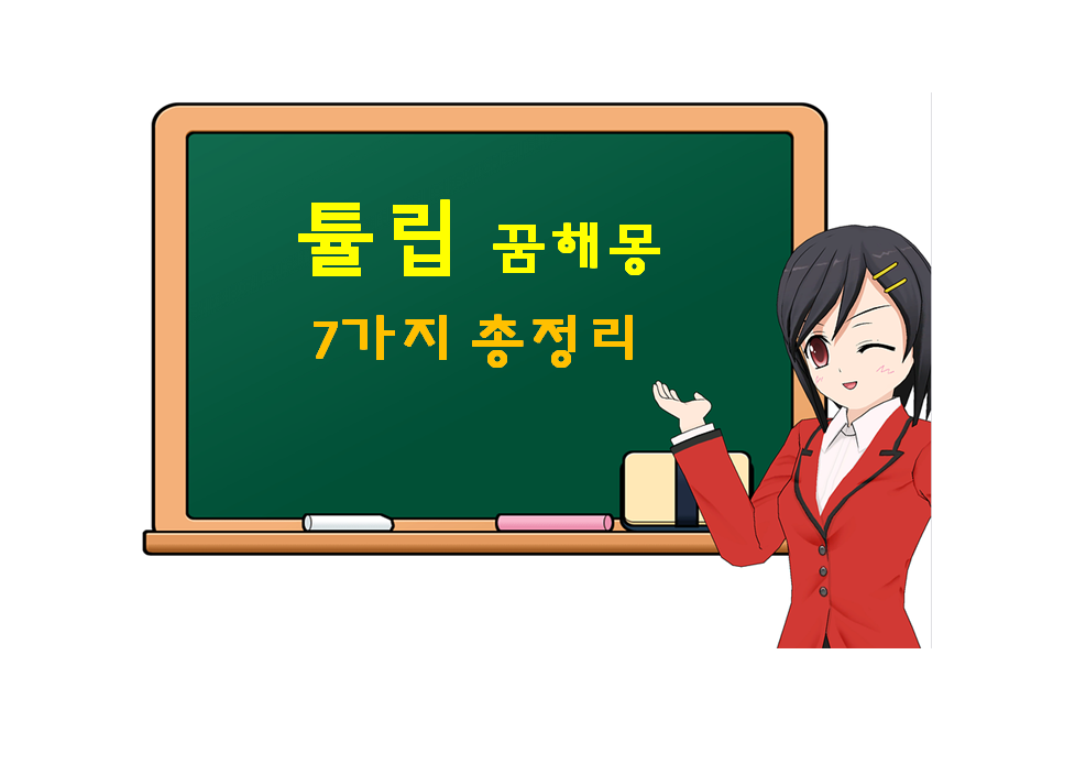 튤립 꿈해몽 7가지 총정리