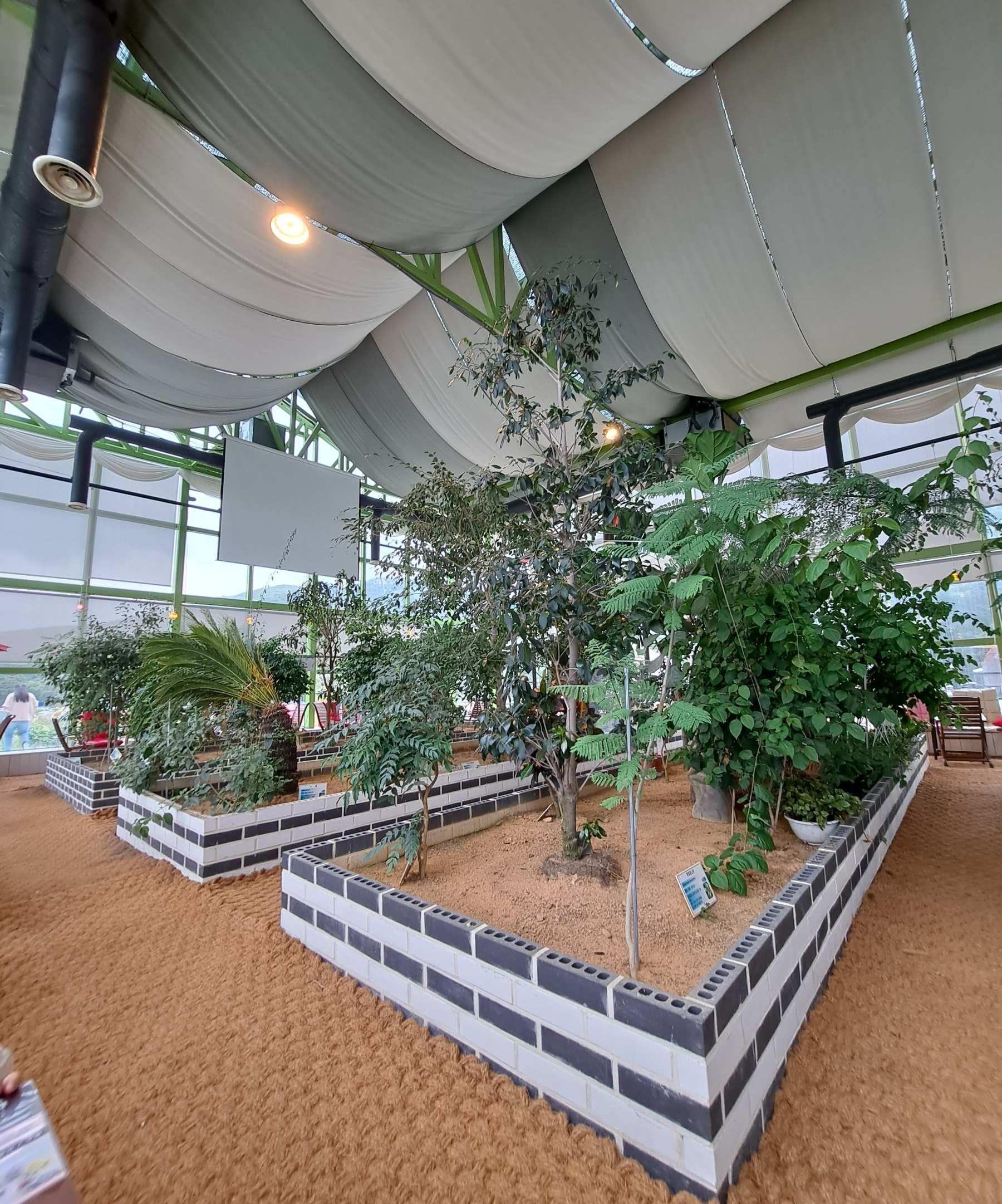 하나개팜 1층 식물들