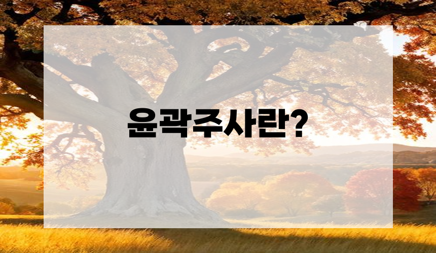 1. 윤곽주사란?
