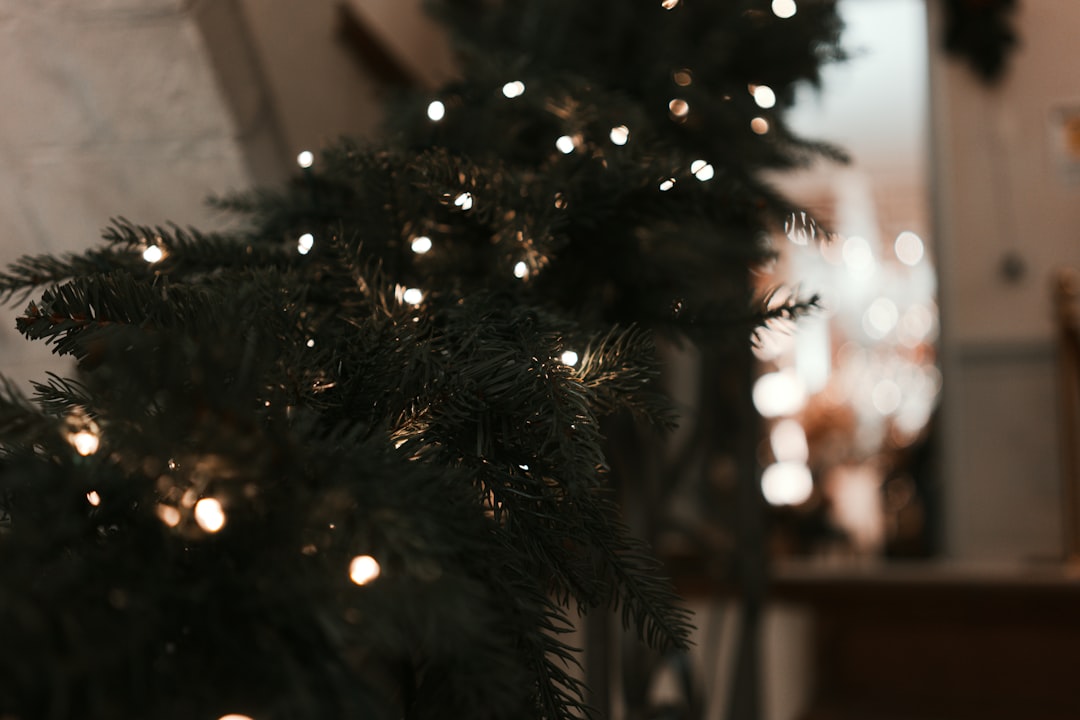 Christmas pot
