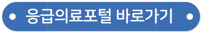 비상진료 문 여는 병원&#44; 의원&#44; 약국 확인 응급의료포털 안내