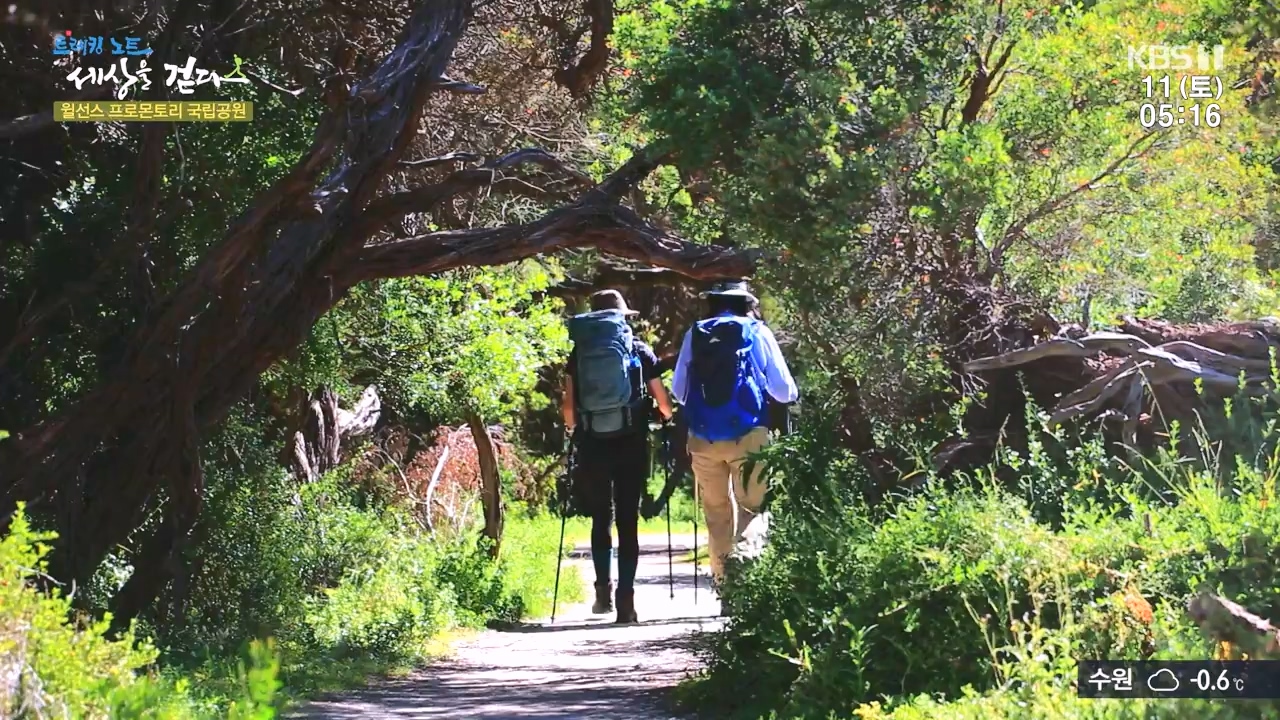트레킹노트 세상을 걷다.E296.231112p-NEXT.mp4_20231111_182048.379.jpg