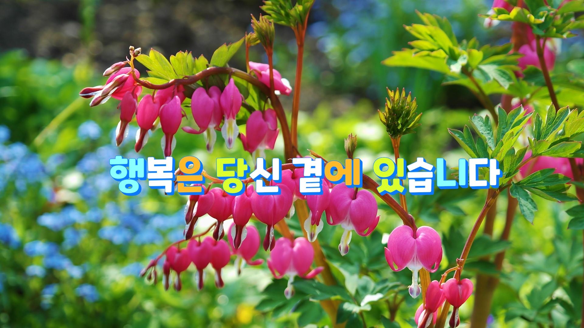  행복은 당신 곁에 있습니다