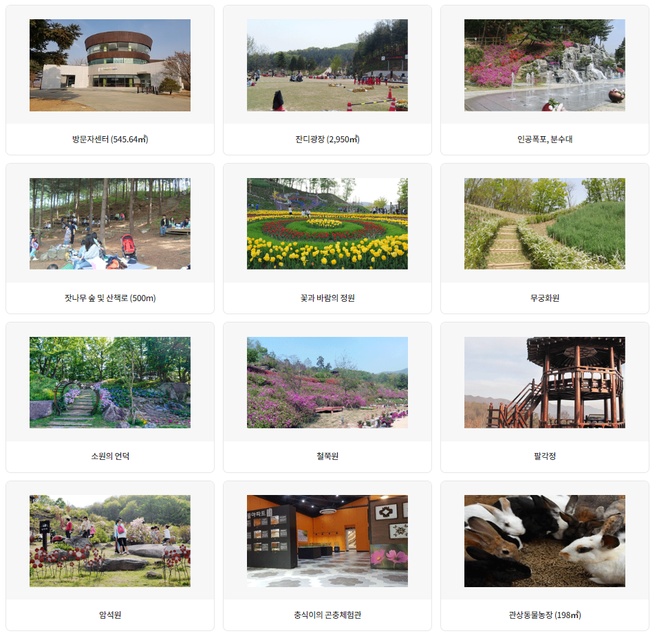 일회성 약속 추천 18