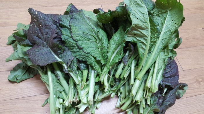 갓 Mustard greens