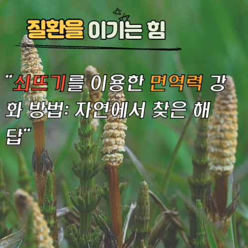쇠뜨기의 항암 효능: 자연의 치유력을 통한 암 예방과 치료