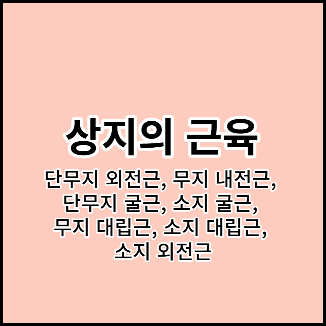 해부학 상지의 근육: 단무지 외전근&#44; 무지 내전근&#44; 단무지 굴근&#44; 소지 굴근&#44; 무지 대립근&#44; 소지 대립근&#44; 소지 외전근 기시&#44; 정지&#44; 작용&#44; 신경지배