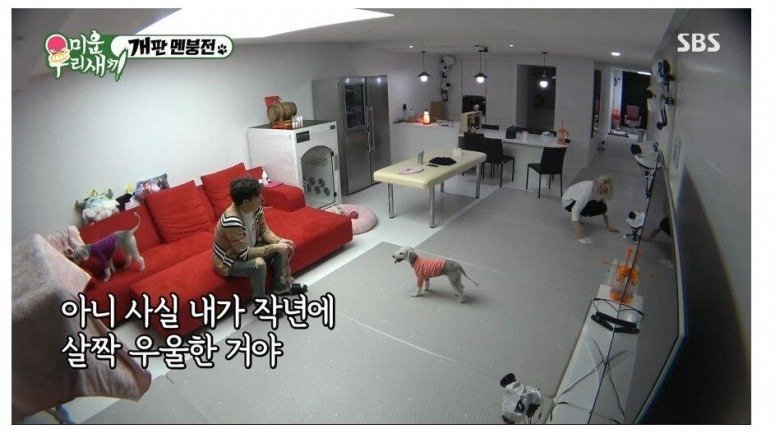  반려견이 우울증을 치료에 좋은 이유