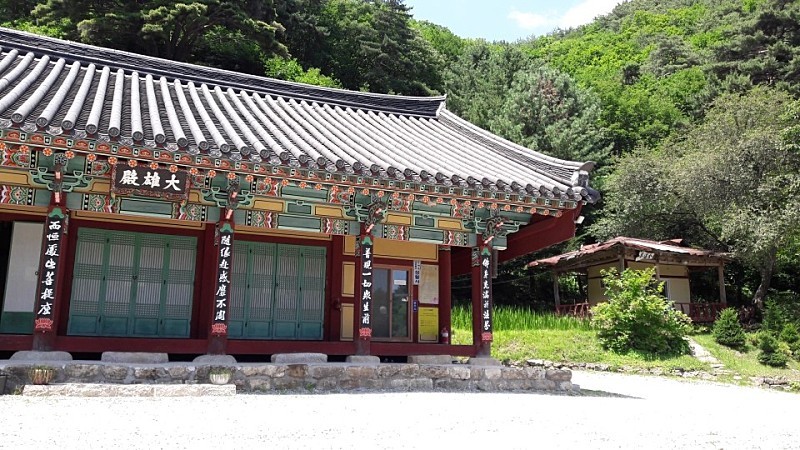 보은하다 이미지