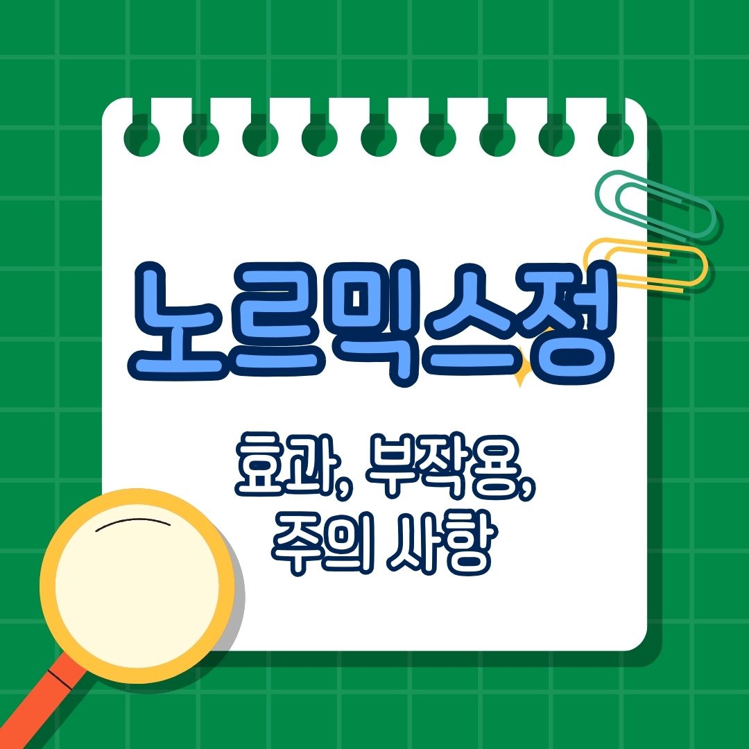 1_노르믹스정 효능, 효과, 복용법, 부작용, 복용 시 주의 사항, 함께 섭취하면 안 되는 약물, 함께 섭취하면 안 되는 성분, 함께 복용하면 도움 되는 성분, 같이 먹으면 좋은 보조제