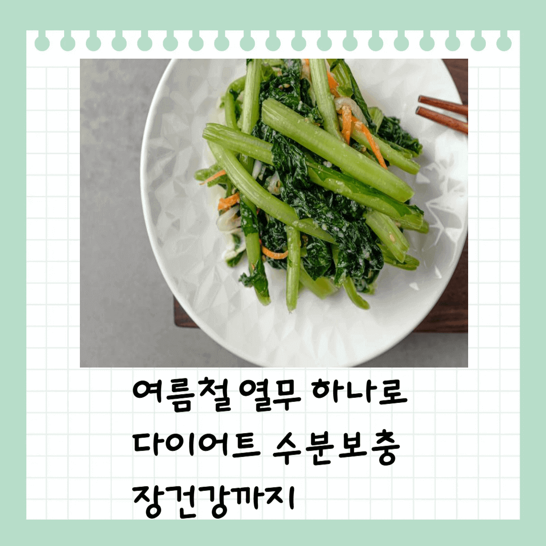 열무 다이어트 수분보충 장건강