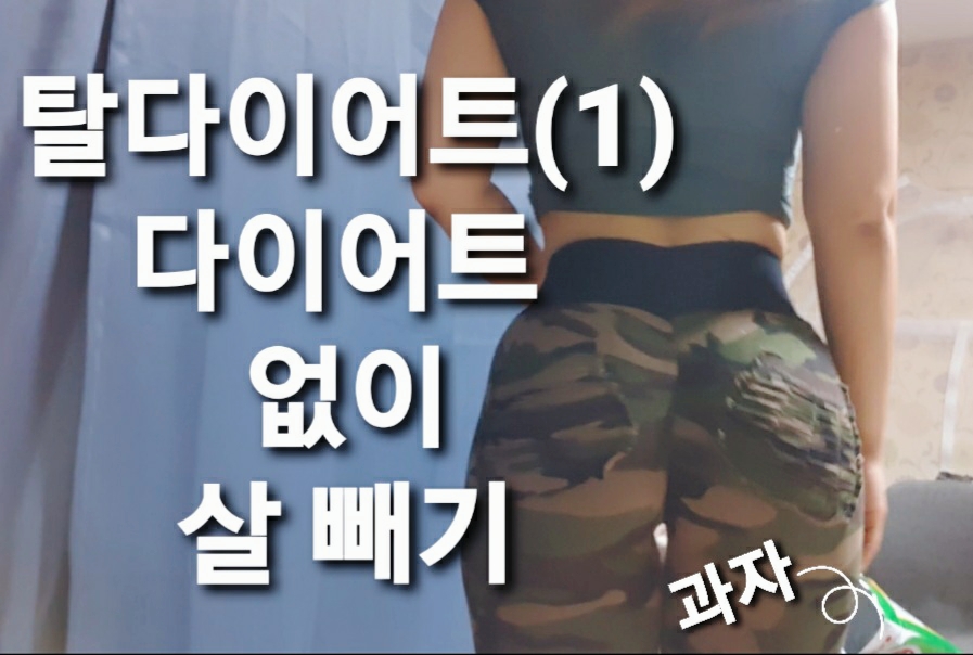 탈 다이어트(1) / 식단 없이 다이어트/ 일반식 다이어트/ 굶지 않고 다 먹는 다이어트/ 건강한 다이어트