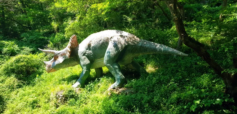 창원 비음산