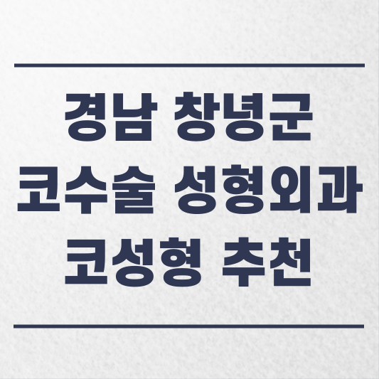 경남 창녕군 코수술 성형외과 추천 코성형 잘하는 곳 가격 비용 금액 후기.png